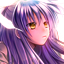Sikk